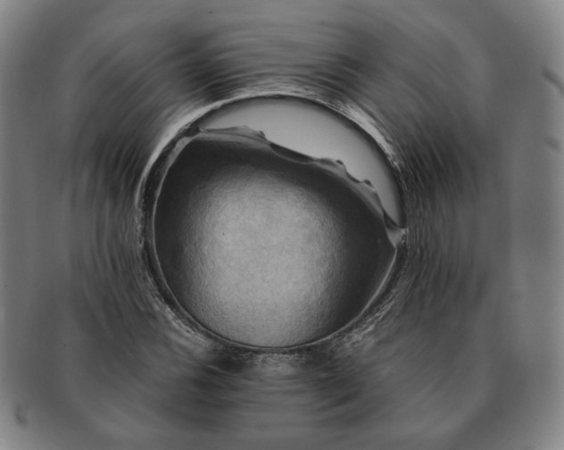 X0000091481116200708231354