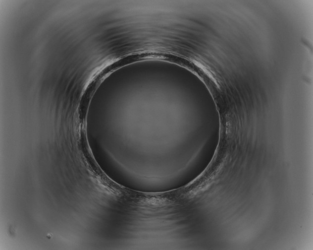 X0000091481117200708231354