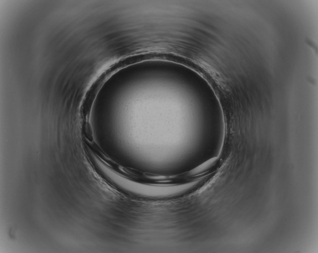 X0000091481118200708231354