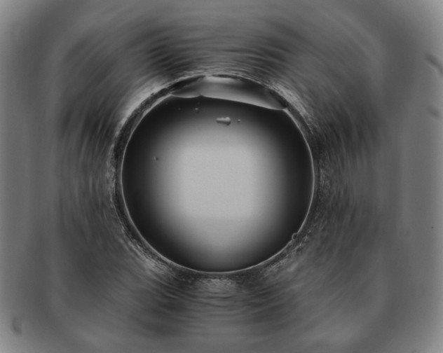 X0000091481119200708231354