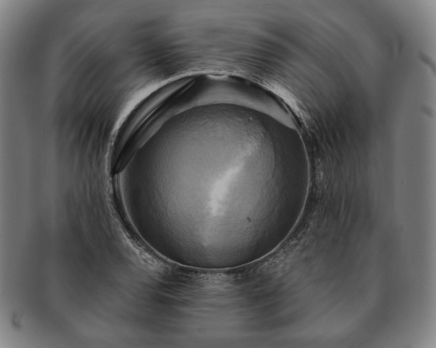 X0000091481120200708231354