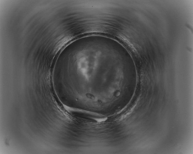 X0000091481121200708231354