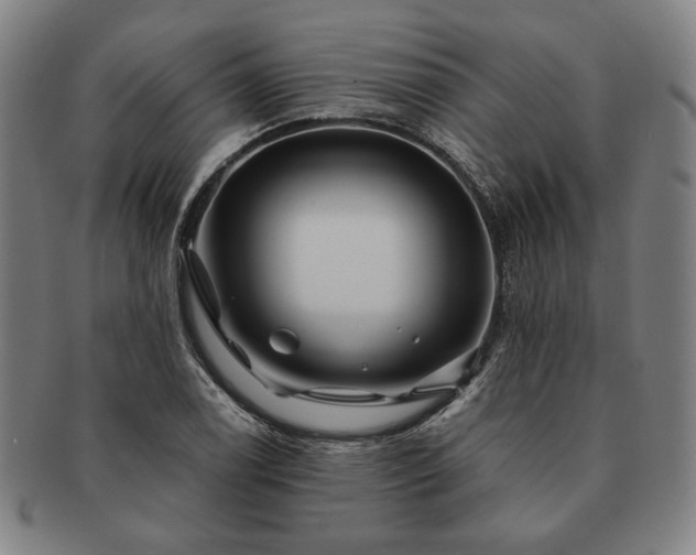 X0000091481122200708231354