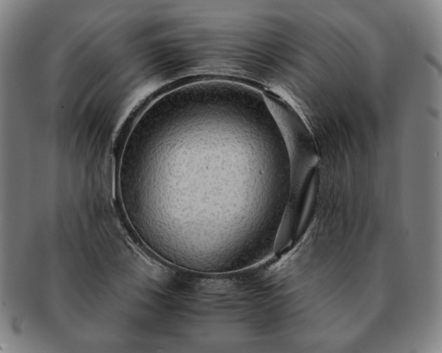 X0000091481123200708231354