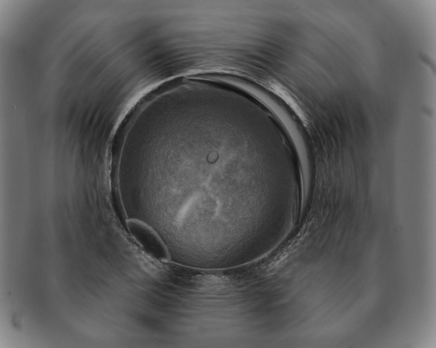 X0000091481124200708231354