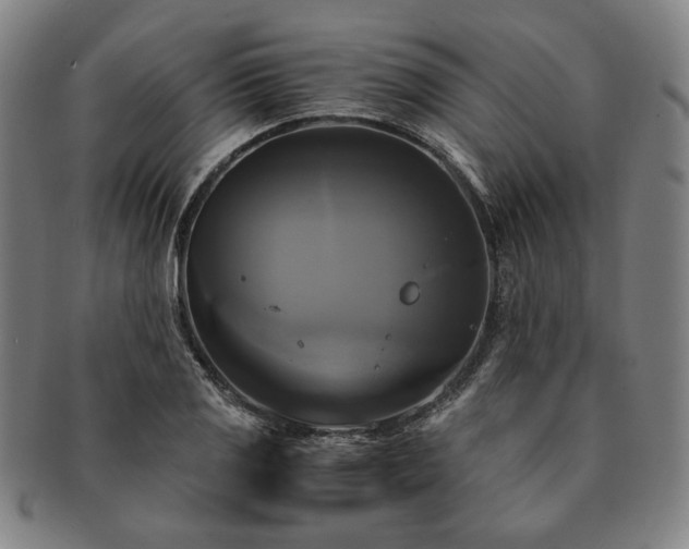 X0000091481125200708231354