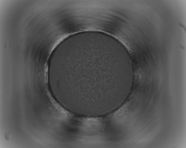 X0000091481126200708231354