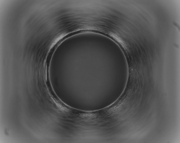 X0000091481127200708231354