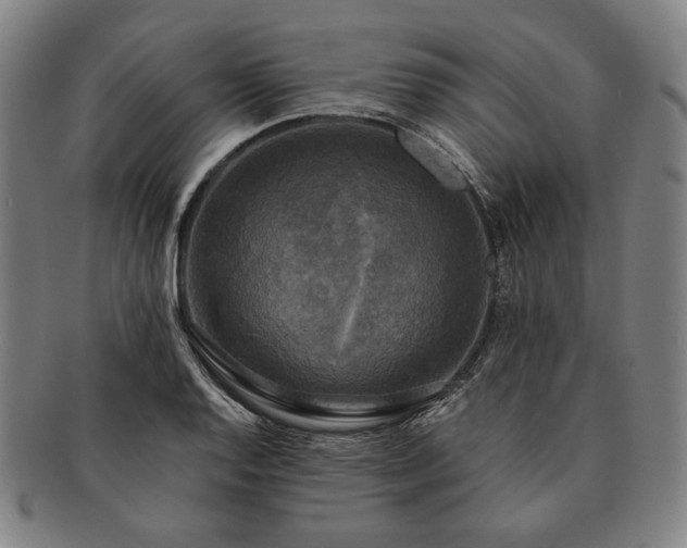 X0000091481128200708231354