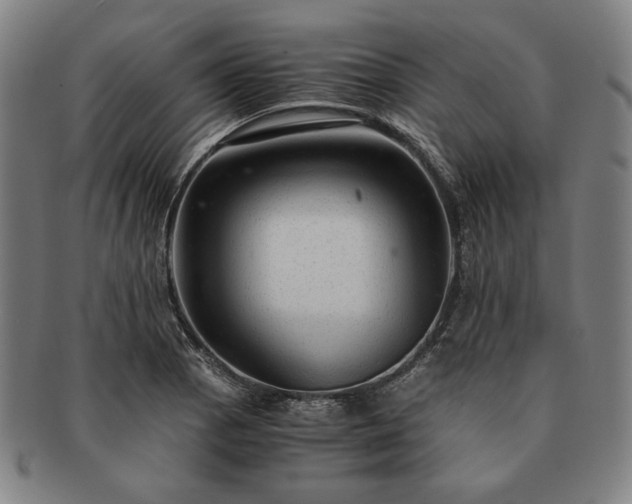 X0000091481129200708231354