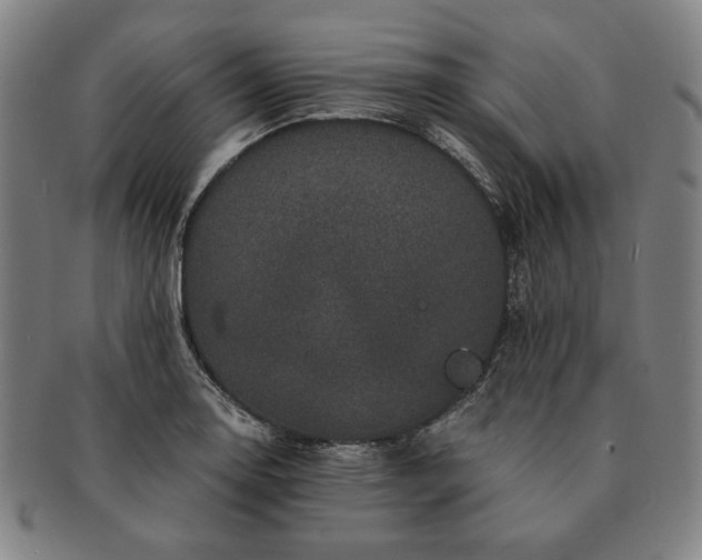 X0000091481130200708231354