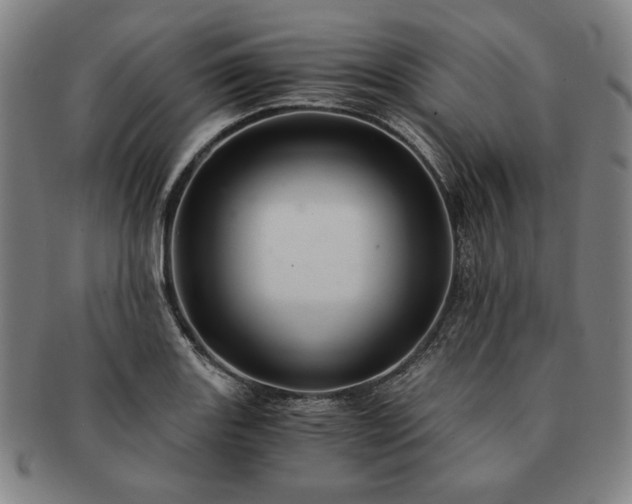 X0000091481131200708231354