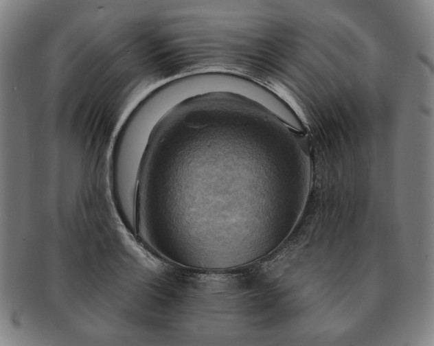 X0000091481132200708231354