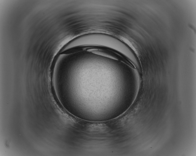 X0000091481133200708231354