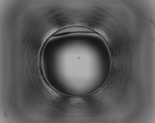 X0000091481135200708231355