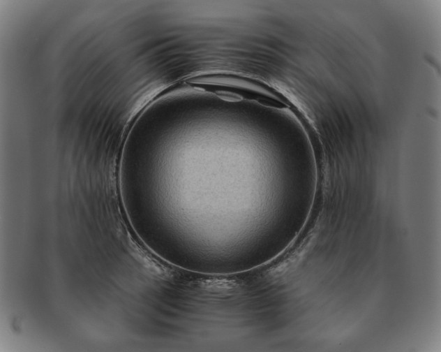 X0000091481137200708231355