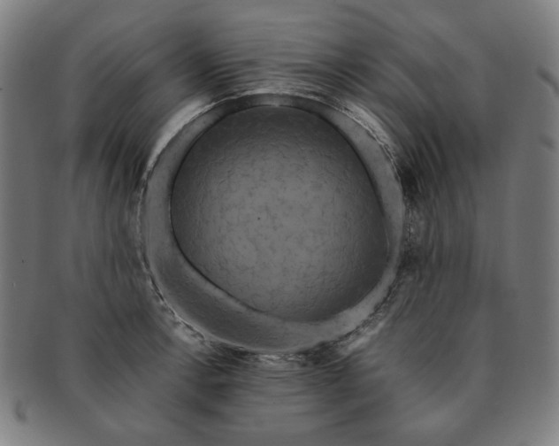 X0000091481138200708231355