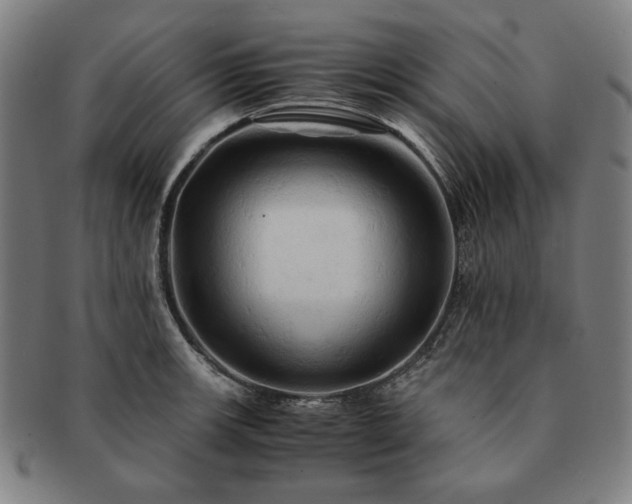 X0000091481139200708231355