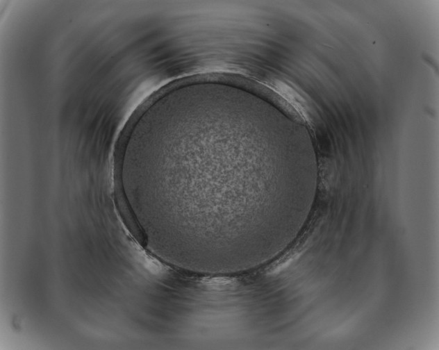 X0000091481140200708231355