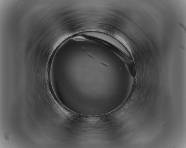 X0000091481141200708231355