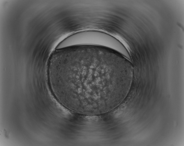 X0000091481142200708231355