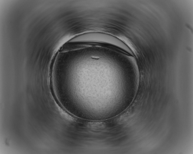 X0000091481143200708231355