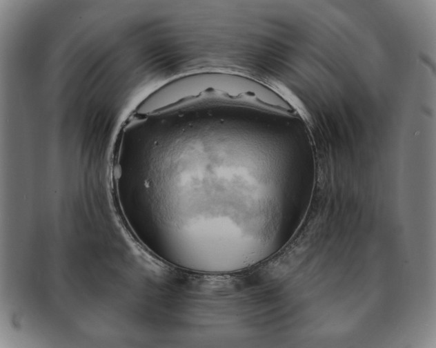 X0000091481144200708231355