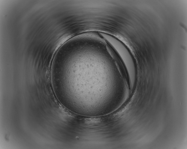 X0000091481145200708231355