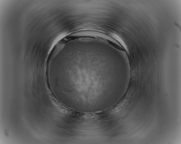 X0000091481146200708231355