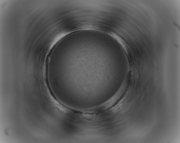 X0000091481147200708231355