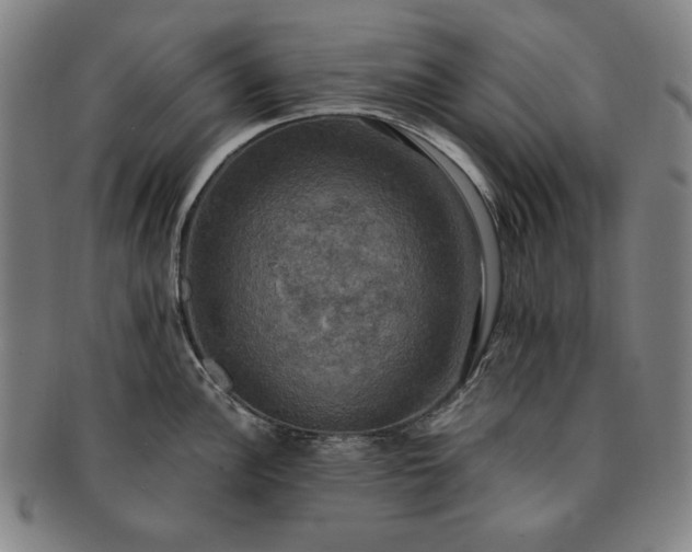 X0000091481148200708231355