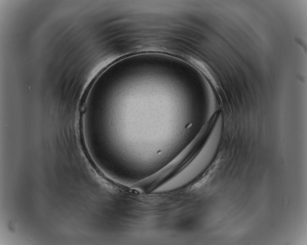 X0000091481149200708231355