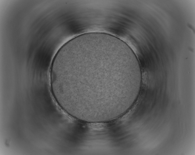 X0000091481150200708231355