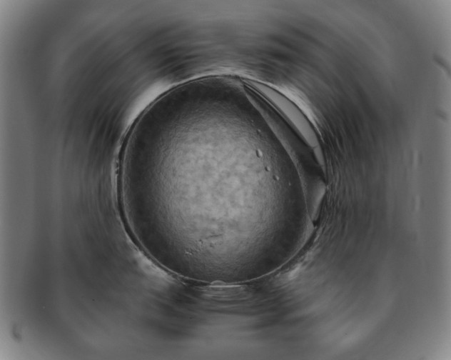 X0000091481151200708231355