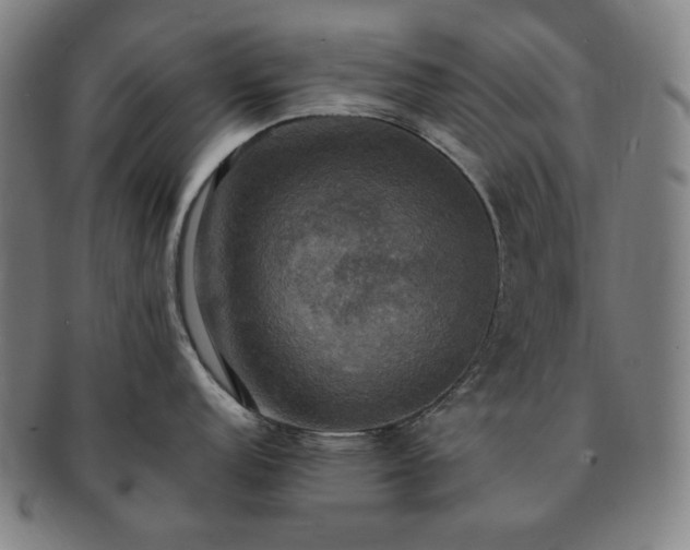 X0000091481152200708231355