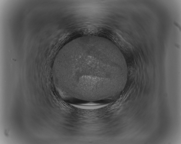 X0000091481153200708231354