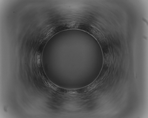 X0000091481154200708231354