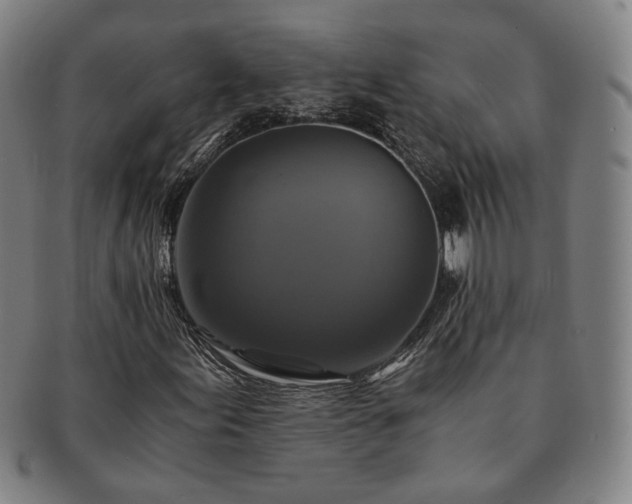 X0000091481155200708231354