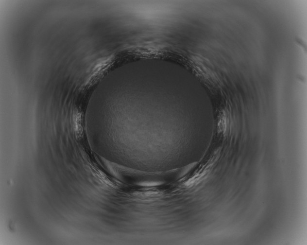 X0000091481156200708231354