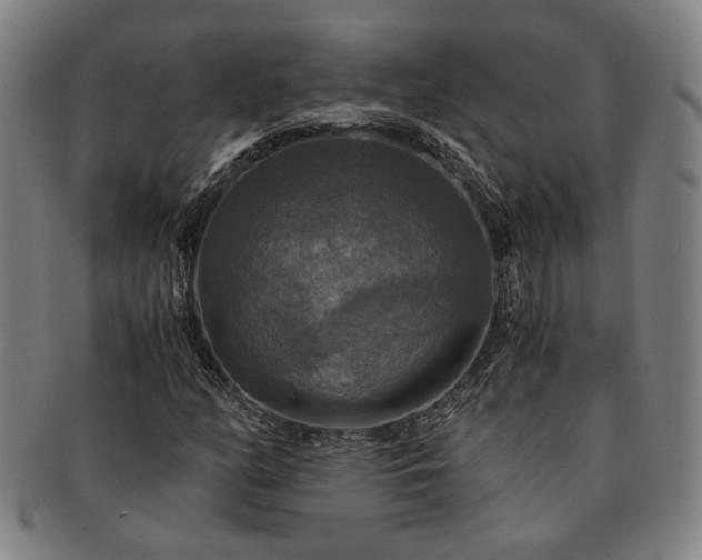 X0000091481158200708231354