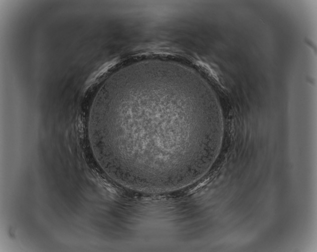 X0000091481159200708231354