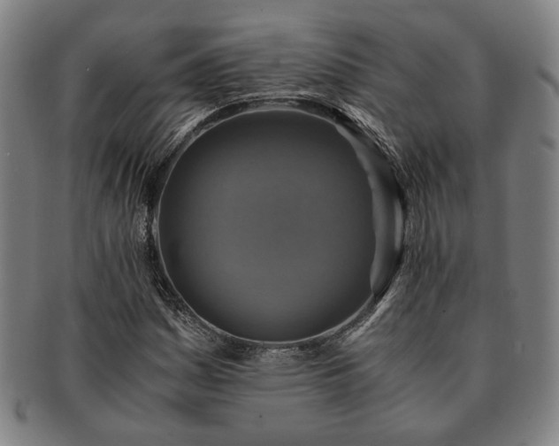 X0000091481161200708231354