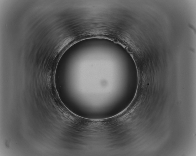 X0000091481162200708231354