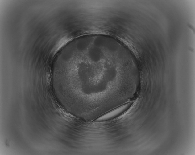 X0000091481163200708231354