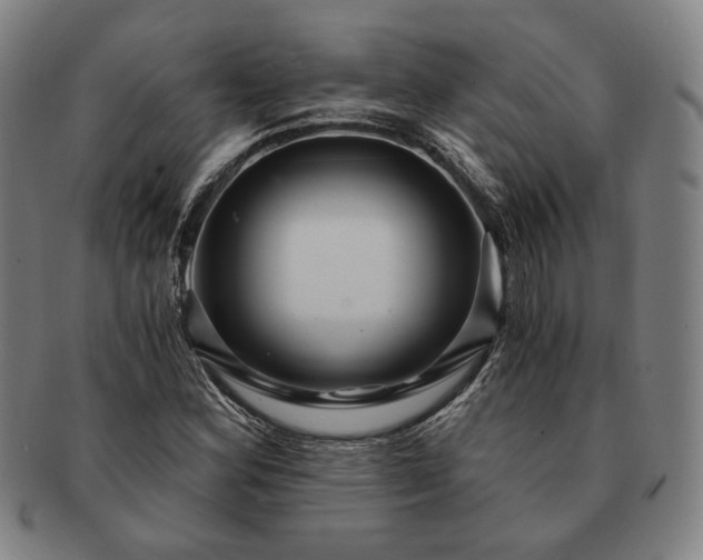 X0000091481164200708231354