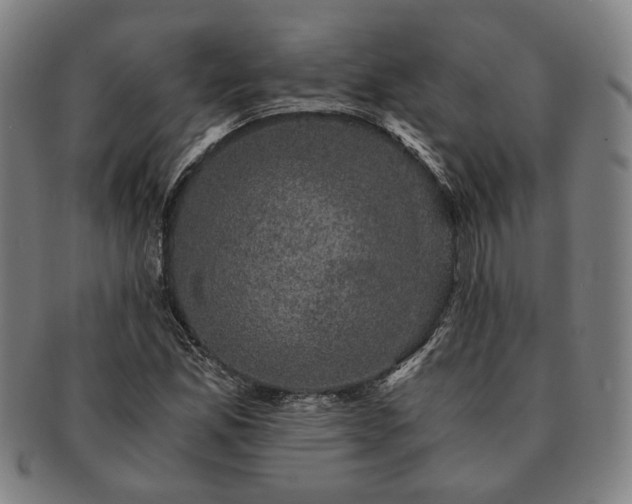 X0000091481165200708231354