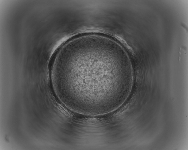 X0000091481167200708231354