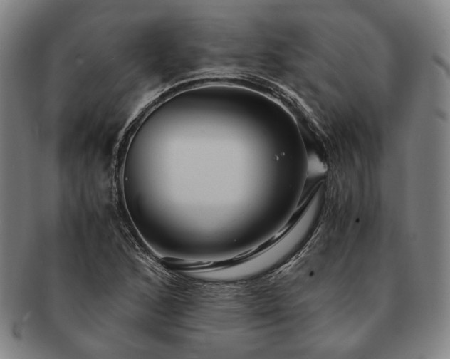 X0000091481168200708231354