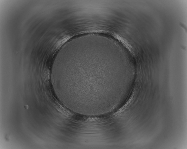 X0000091481169200708231354