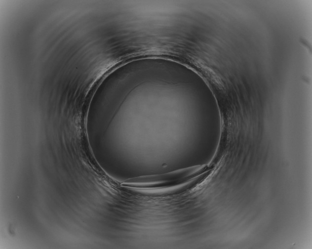 X0000091481170200708231354